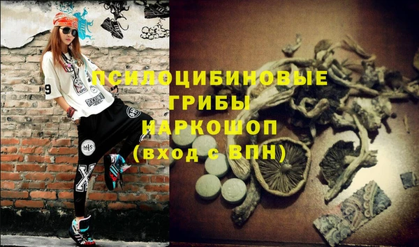 марихуана Новокубанск