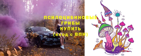 стафф Нефтекумск