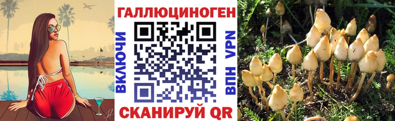 Галлюциногенные грибы GOLDEN TEACHER  гидра tor  Злынка  даркнет сайт 